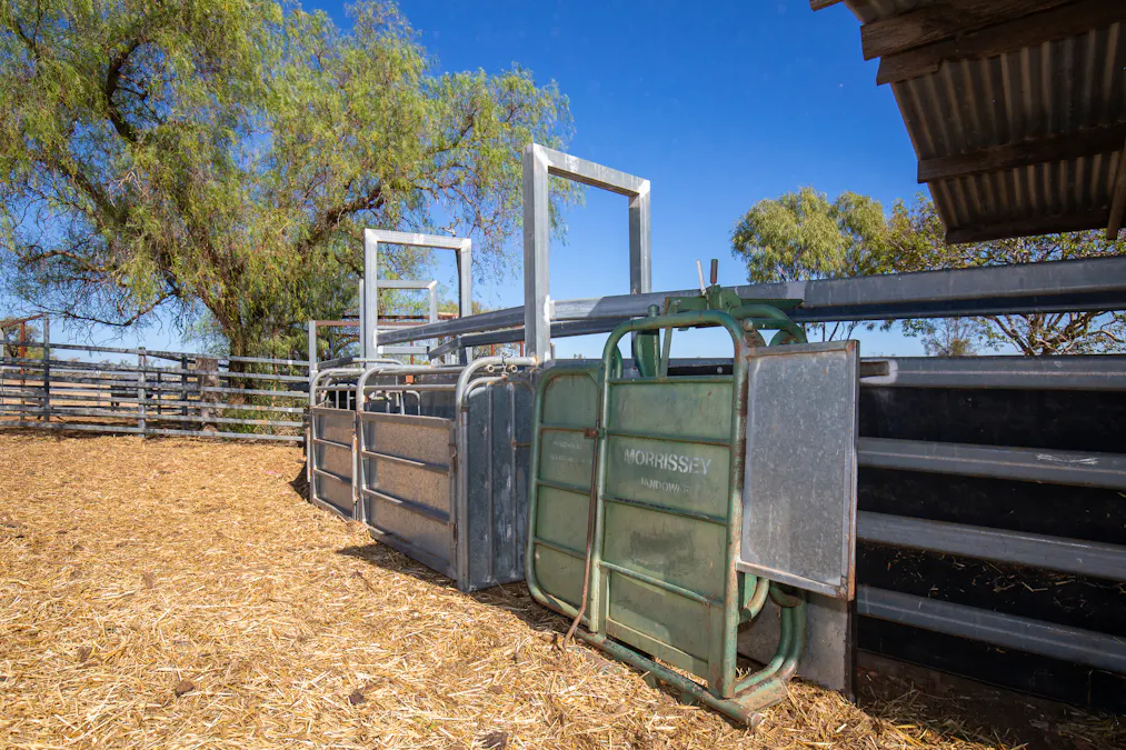 823 Eulourie Road, Bingara, NSW, 2404 - Image 30