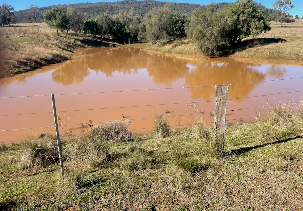 823 Eulourie Road, Bingara, NSW, 2404 - Image 17