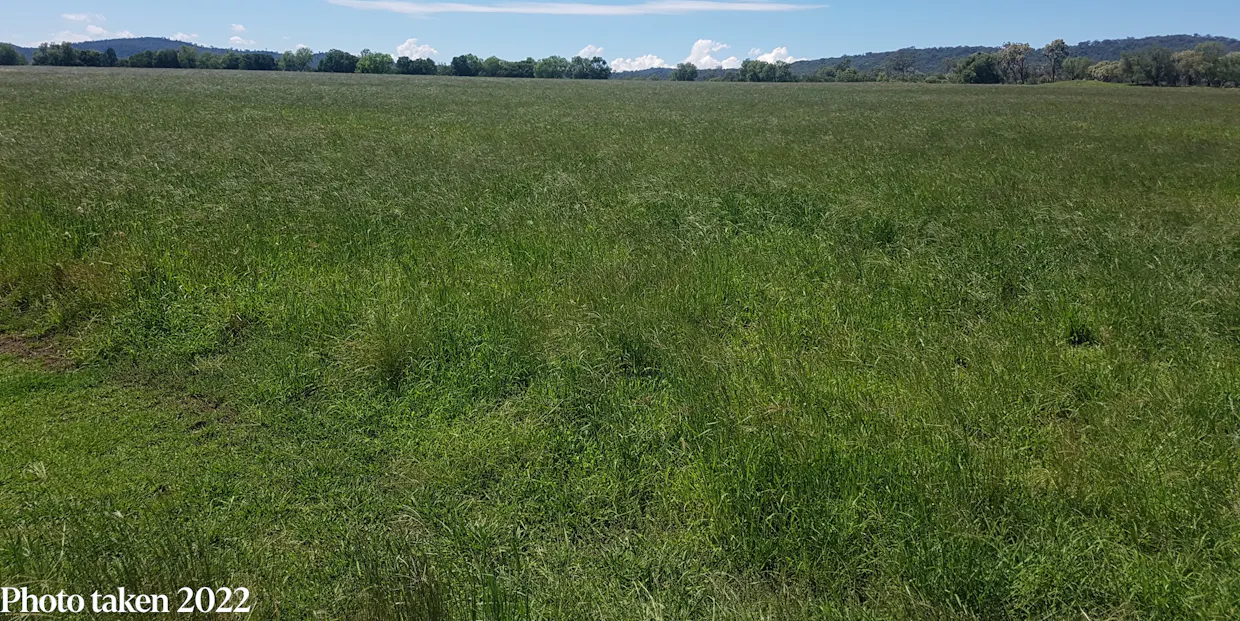 823 Eulourie Road, Bingara, NSW, 2404 - Image 31