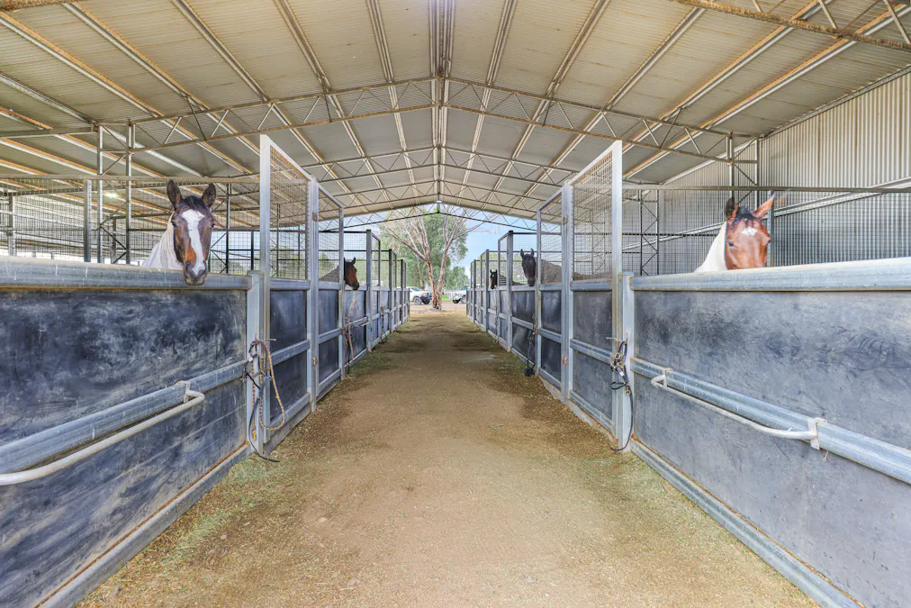 560 Wallamore Road, Tamworth, NSW, 2340 - Image 9