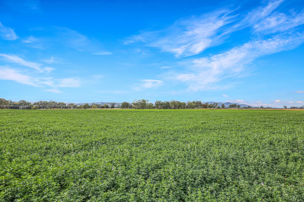 560 Wallamore Road, Tamworth, NSW, 2340 - Image 20