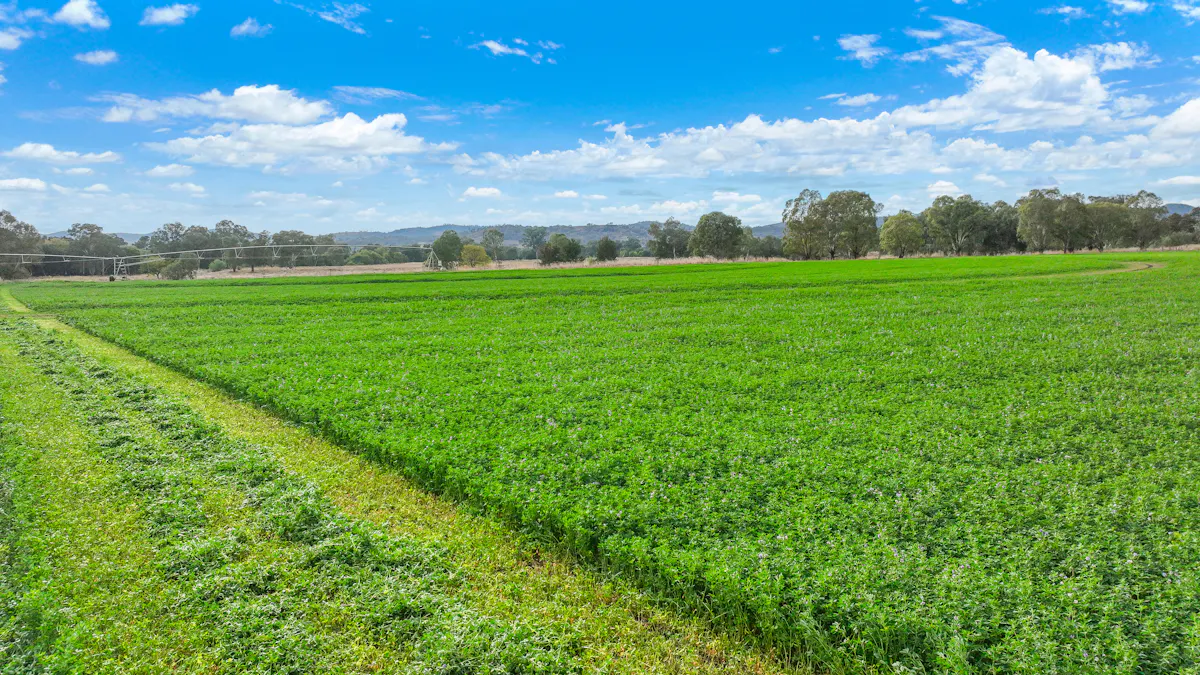 560 Wallamore Road, Tamworth, NSW, 2340 - Image 16