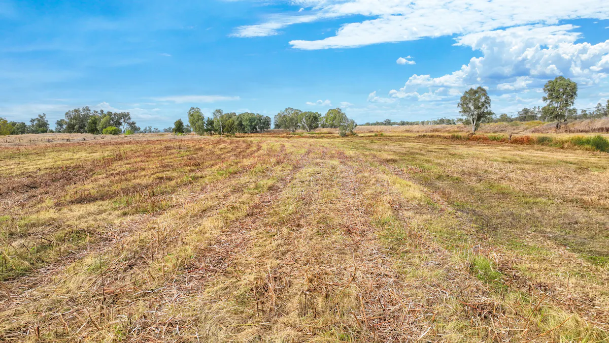 560 Wallamore Road, Tamworth, NSW, 2340 - Image 19