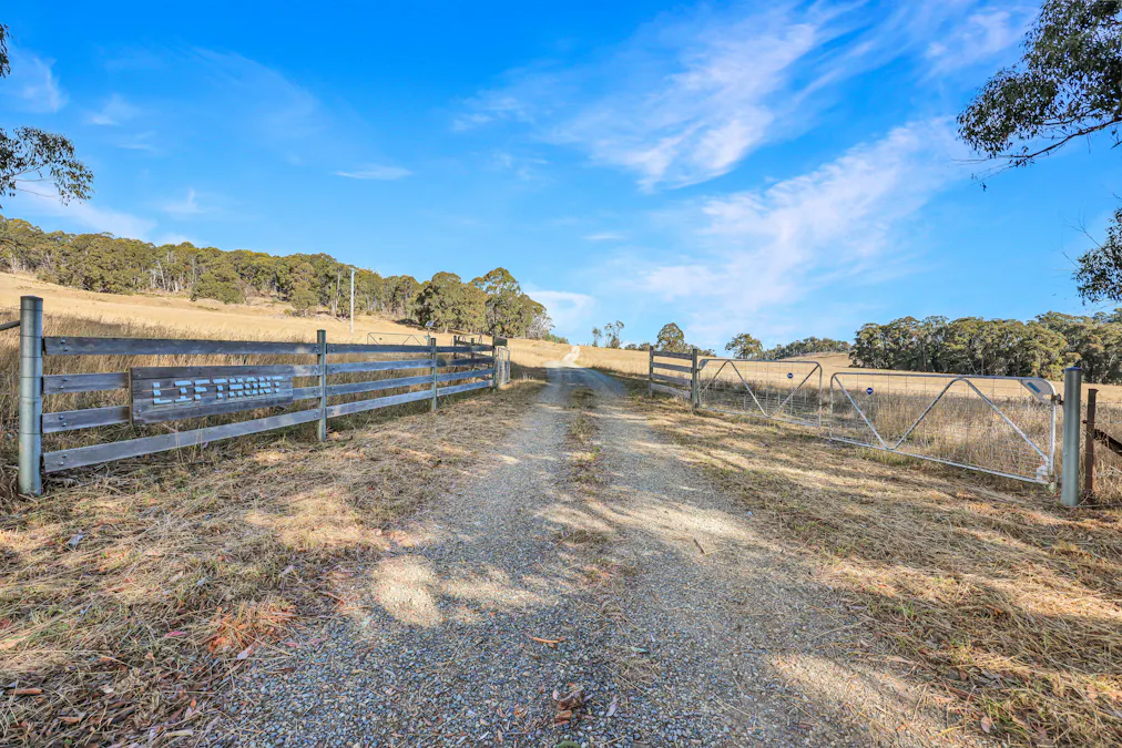 1176 Nowendoc Road, Niangala, NSW, 2354 - Image 2