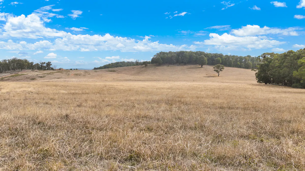 1176 Nowendoc Road, Niangala, NSW, 2354 - Image 15