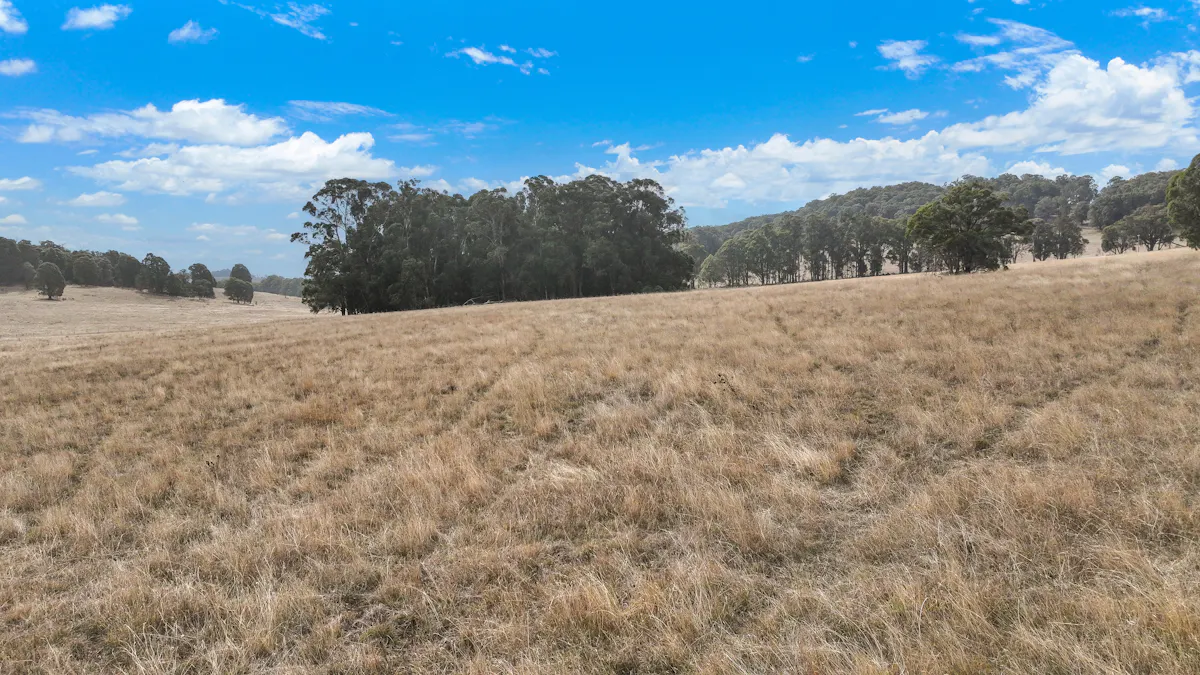 1176 Nowendoc Road, Niangala, NSW, 2354 - Image 16