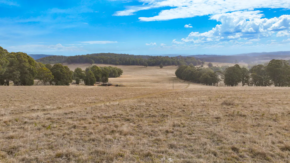 1176 Nowendoc Road, Niangala, NSW, 2354 - Image 17