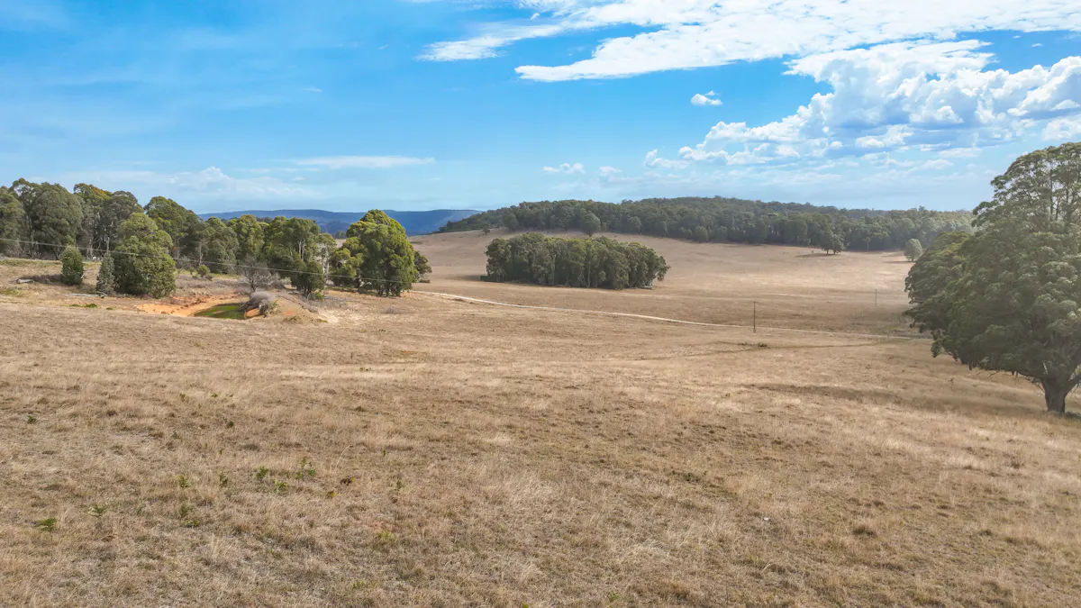 1176 Nowendoc Road, Niangala, NSW, 2354 - Image 18