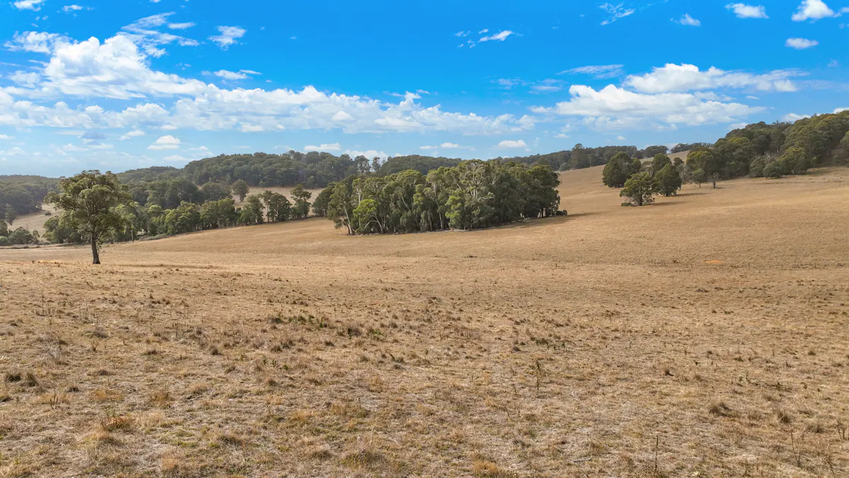 1176 Nowendoc Road, Niangala, NSW, 2354 - Image 19