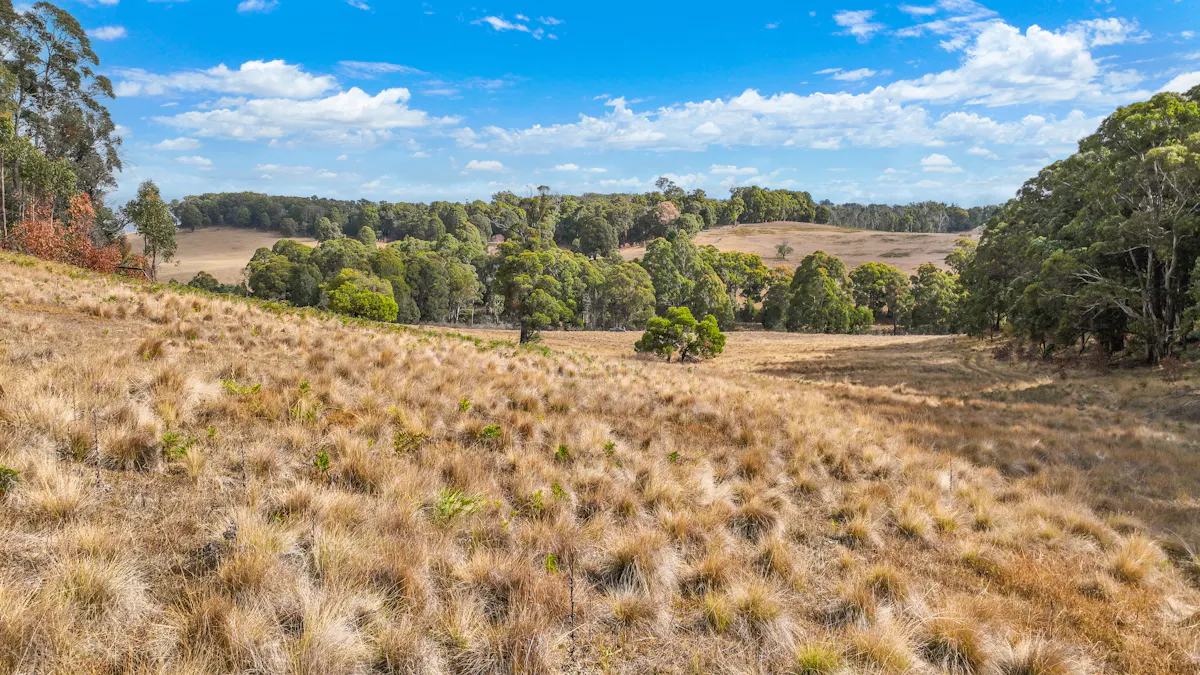 1176 Nowendoc Road, Niangala, NSW, 2354 - Image 20