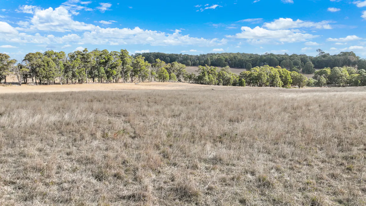 1176 Nowendoc Road, Niangala, NSW, 2354 - Image 21