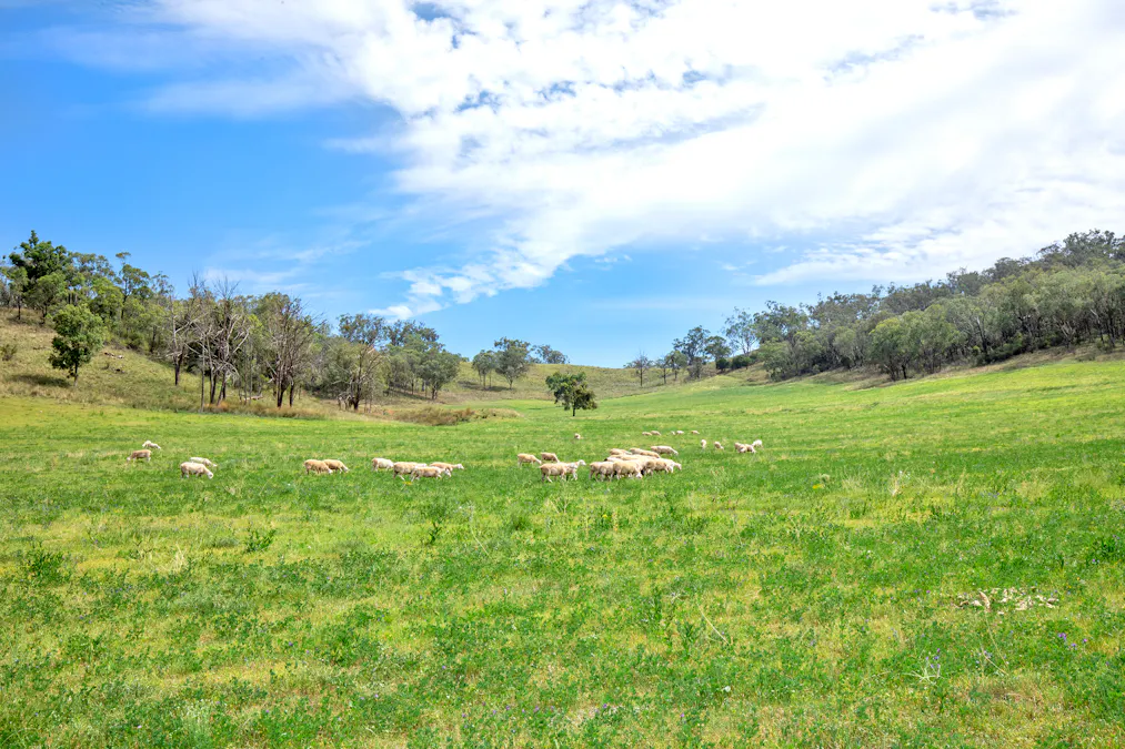 225 Echo Hills Road, Dungowan, NSW, 2340 - Image 3