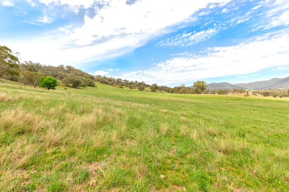 225 Echo Hills Road, Dungowan, NSW, 2340 - Image 5