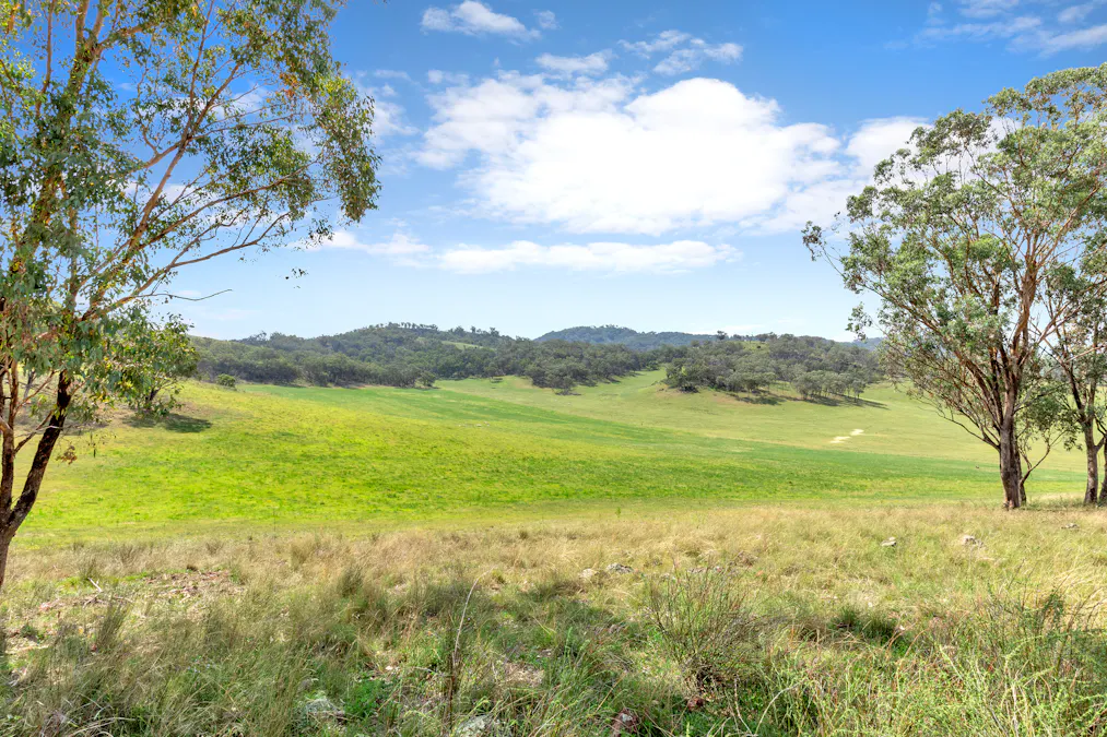225 Echo Hills Road, Dungowan, NSW, 2340 - Image 2