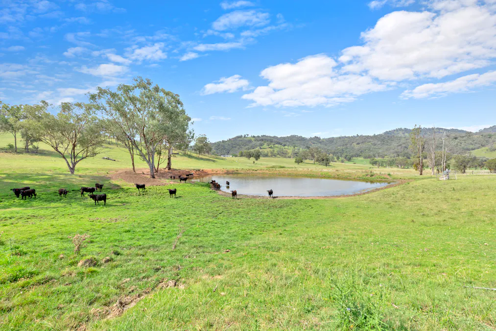 225 Echo Hills Road, Dungowan, NSW, 2340 - Image 4