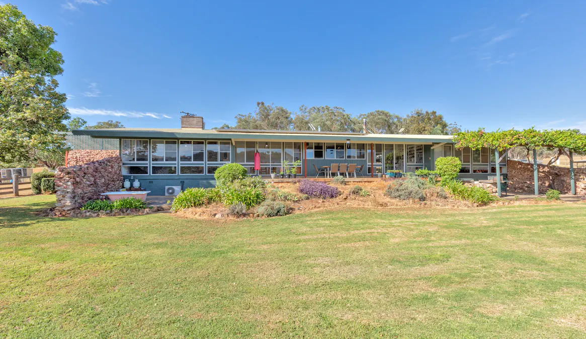 225 Echo Hills Road, Dungowan, NSW, 2340 - Image 13