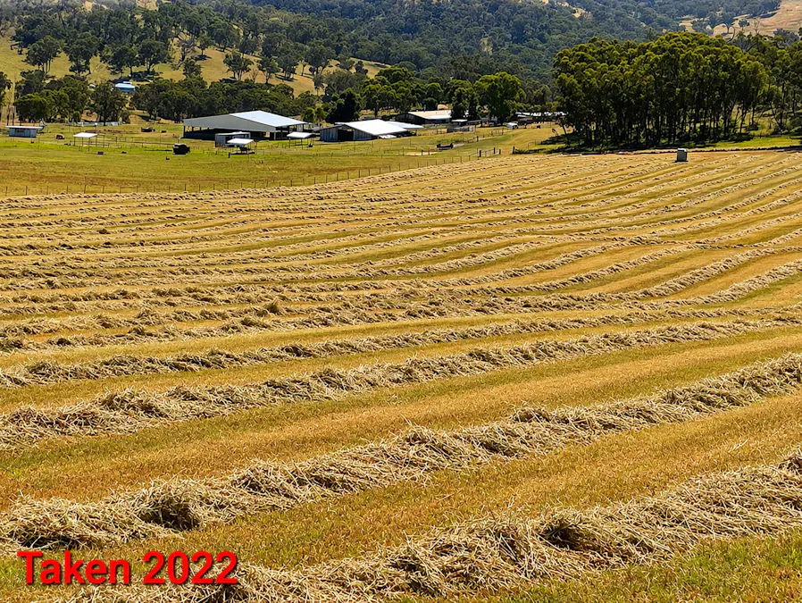 225 Echo Hills Road, Dungowan, NSW, 2340 - Image 21