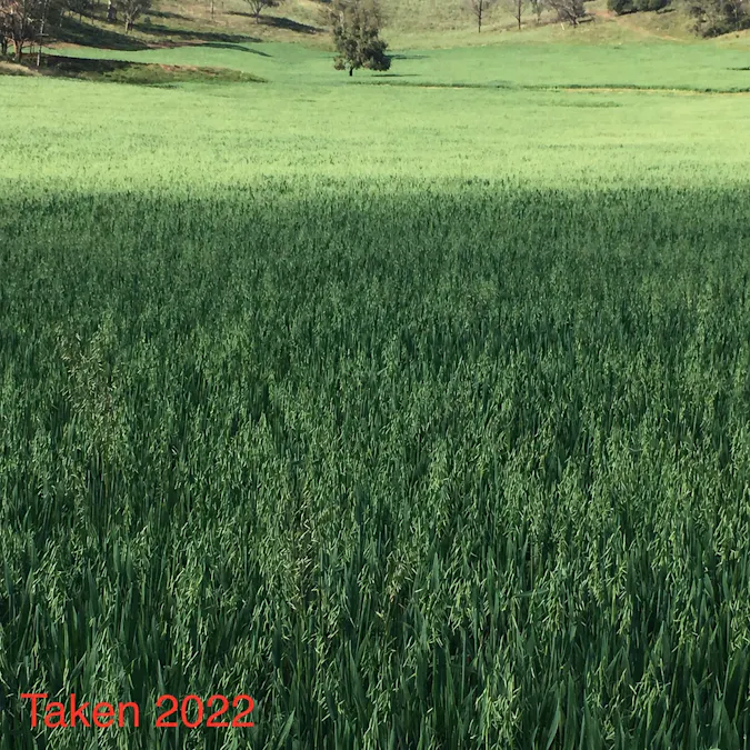 225 Echo Hills Road, Dungowan, NSW, 2340 - Image 23