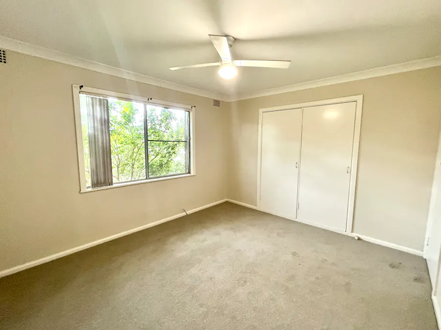 31 Holland Street, South Tamworth, NSW, 2340 - Image 4