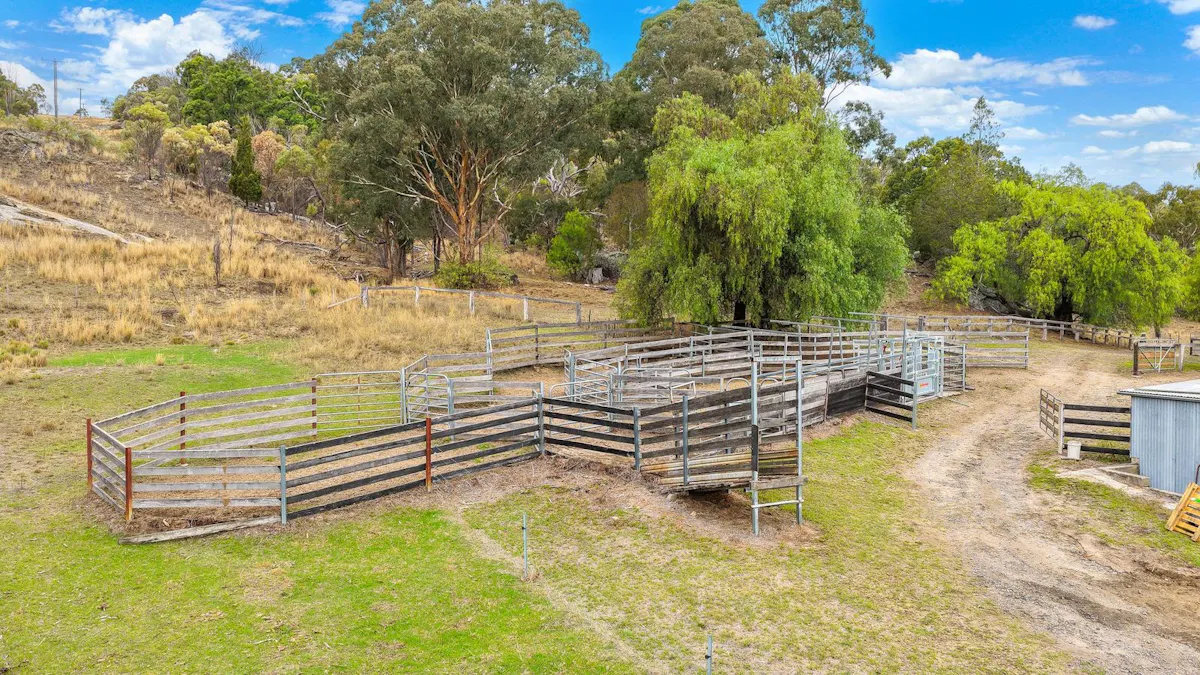 2337 Danglemah Road, Woolbrook, NSW, 2354 - Image 10