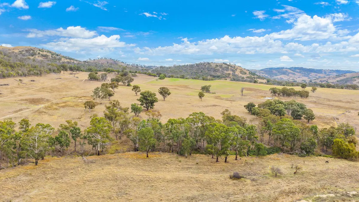 2337 Danglemah Road, Woolbrook, NSW, 2354 - Image 13