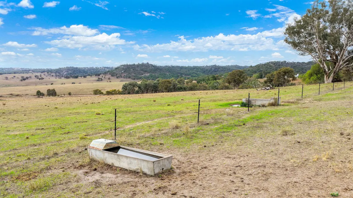 2337 Danglemah Road, Woolbrook, NSW, 2354 - Image 14