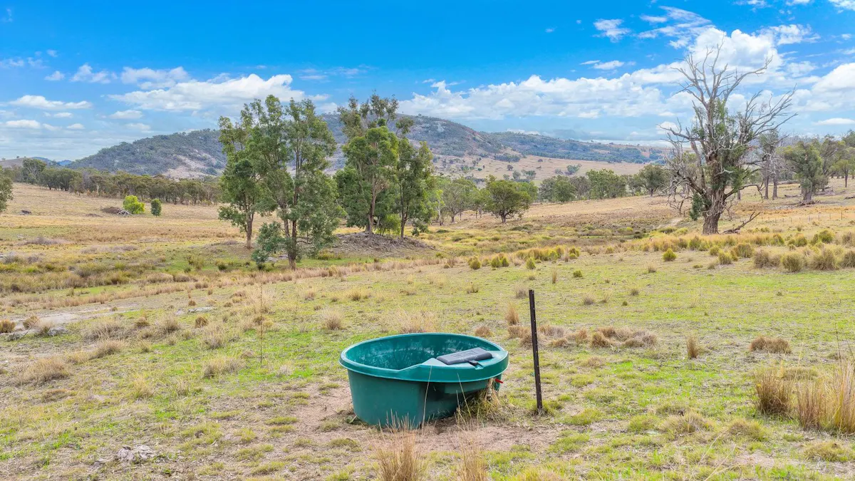 2337 Danglemah Road, Woolbrook, NSW, 2354 - Image 15