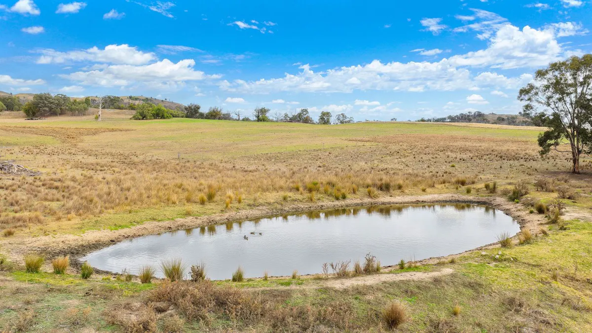 2337 Danglemah Road, Woolbrook, NSW, 2354 - Image 16