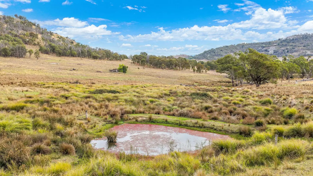 2337 Danglemah Road, Woolbrook, NSW, 2354 - Image 17