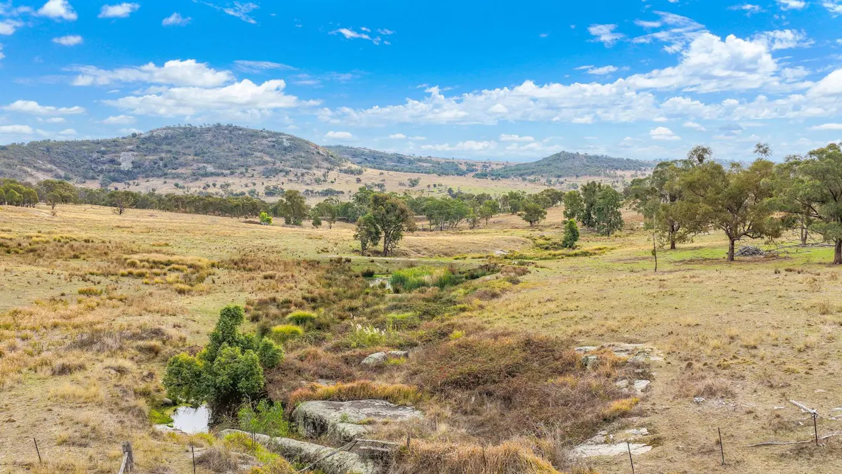 2337 Danglemah Road, Woolbrook, NSW, 2354 - Image 19