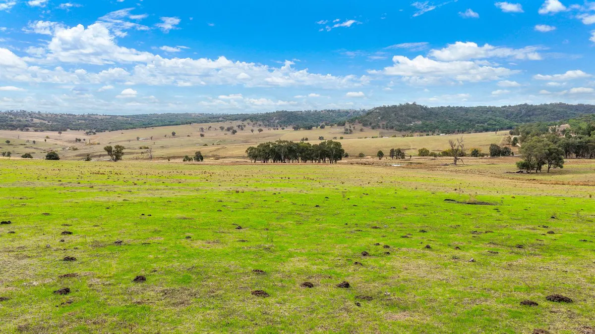 2337 Danglemah Road, Woolbrook, NSW, 2354 - Image 20