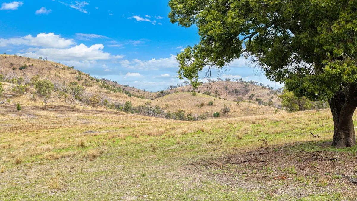 2337 Danglemah Road, Woolbrook, NSW, 2354 - Image 22