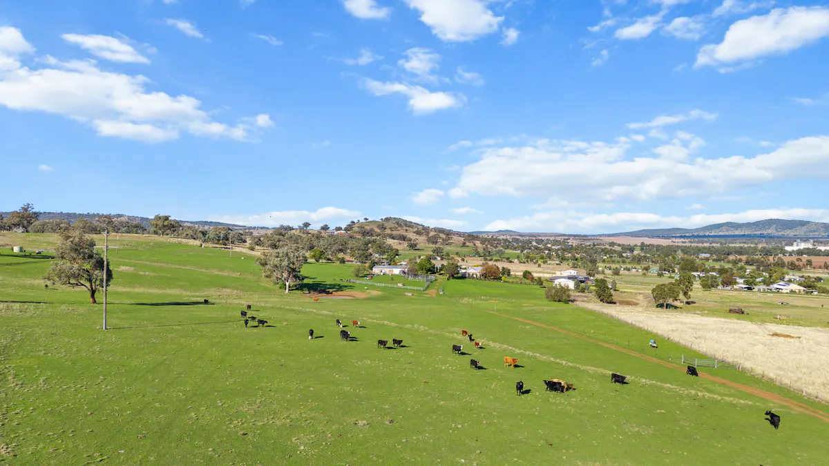 29 Echo Hills Road, Werris Creek, NSW, 2341 - Image 15