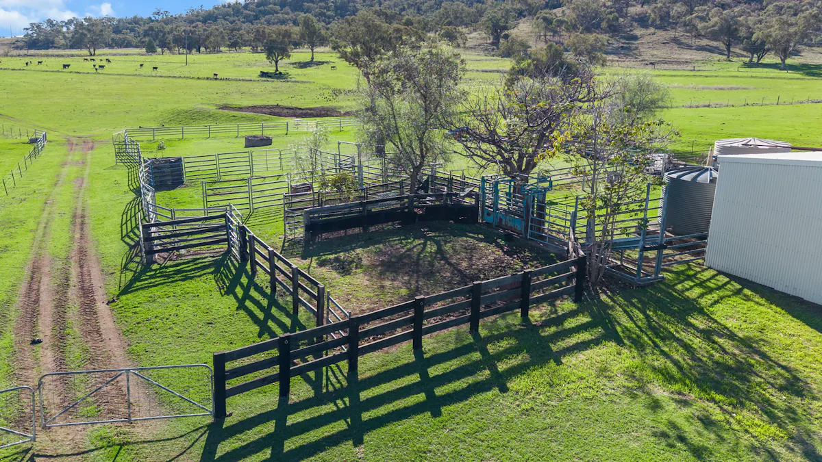 29 Echo Hills Road, Werris Creek, NSW, 2341 - Image 16