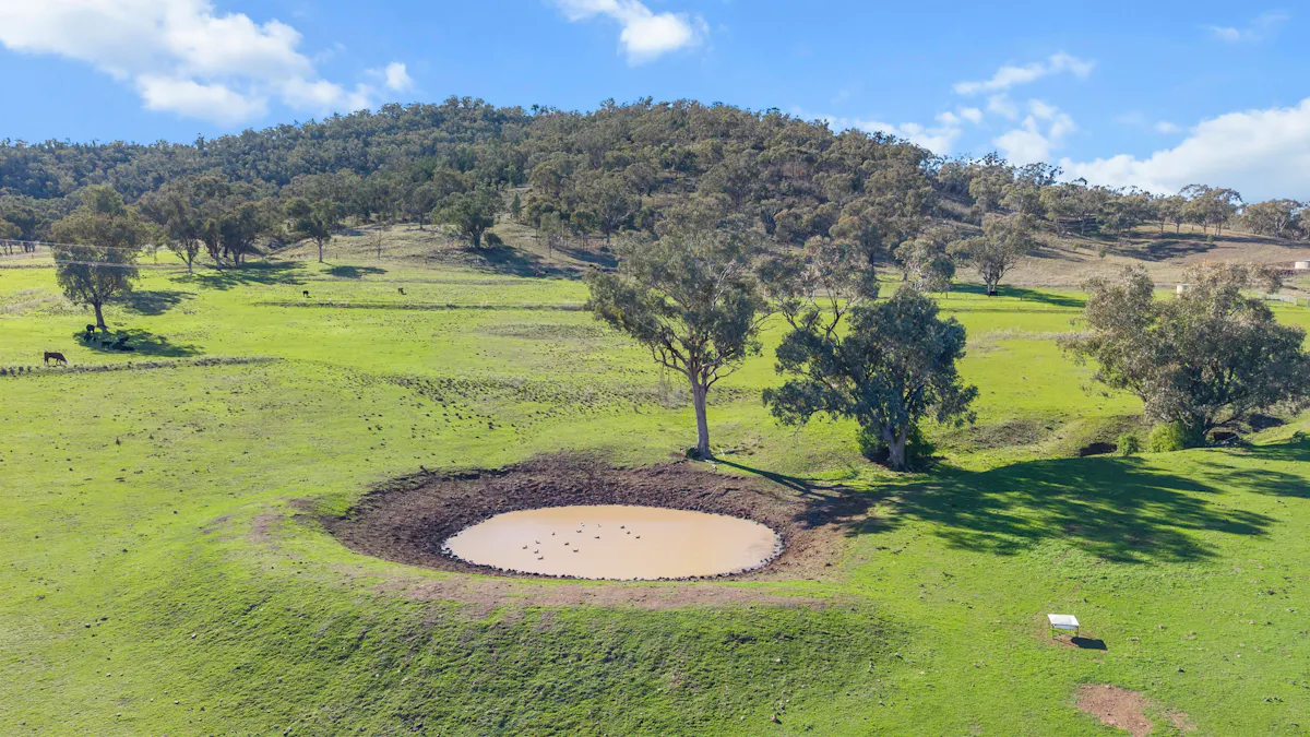 29 Echo Hills Road, Werris Creek, NSW, 2341 - Image 19