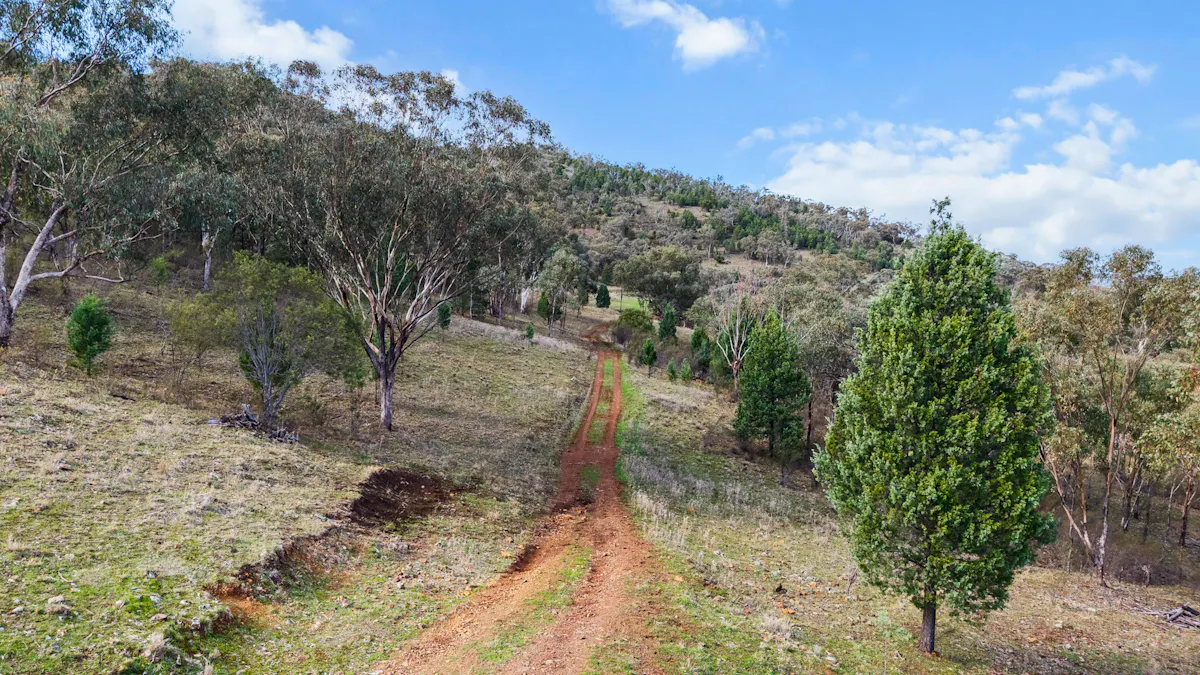 29 Echo Hills Road, Werris Creek, NSW, 2341 - Image 20