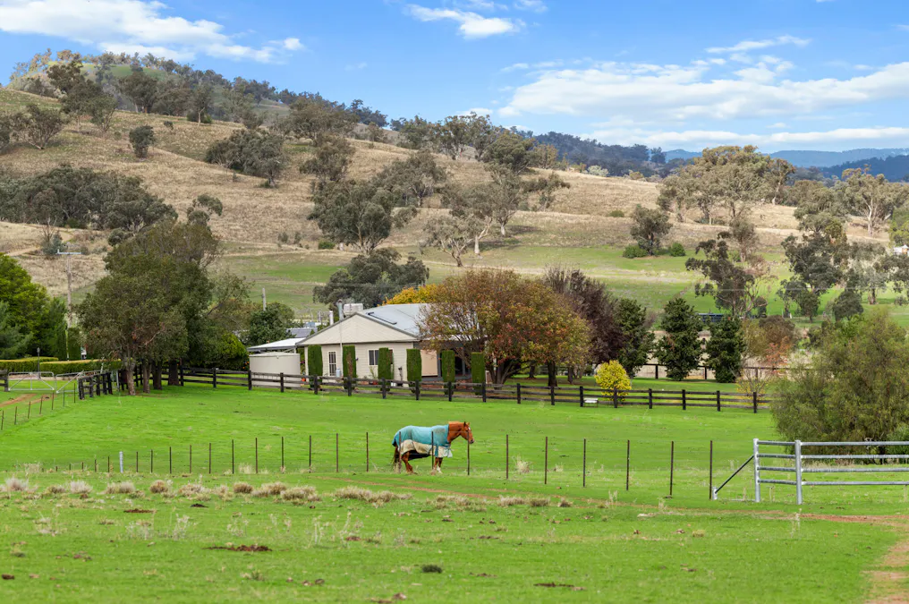 29 Echo Hills Road, Werris Creek, NSW, 2341 - Image 21