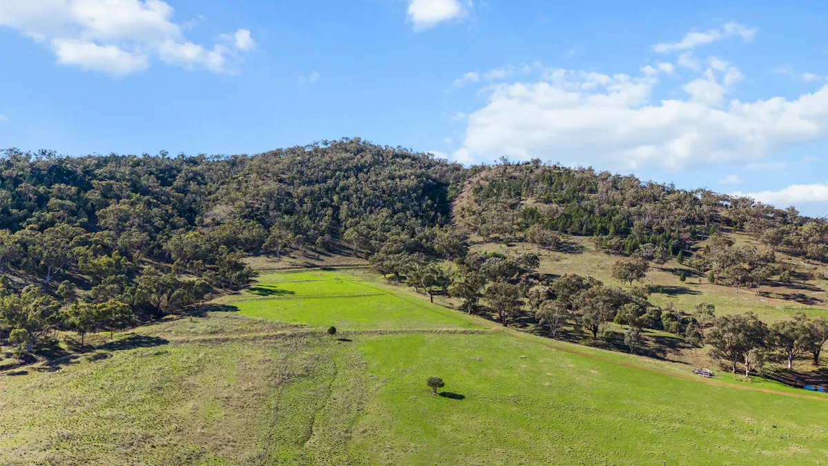 29 Echo Hills Road, Werris Creek, NSW, 2341 - Image 23