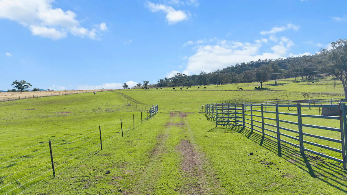 29 Echo Hills Road, Werris Creek, NSW, 2341 - Image 24