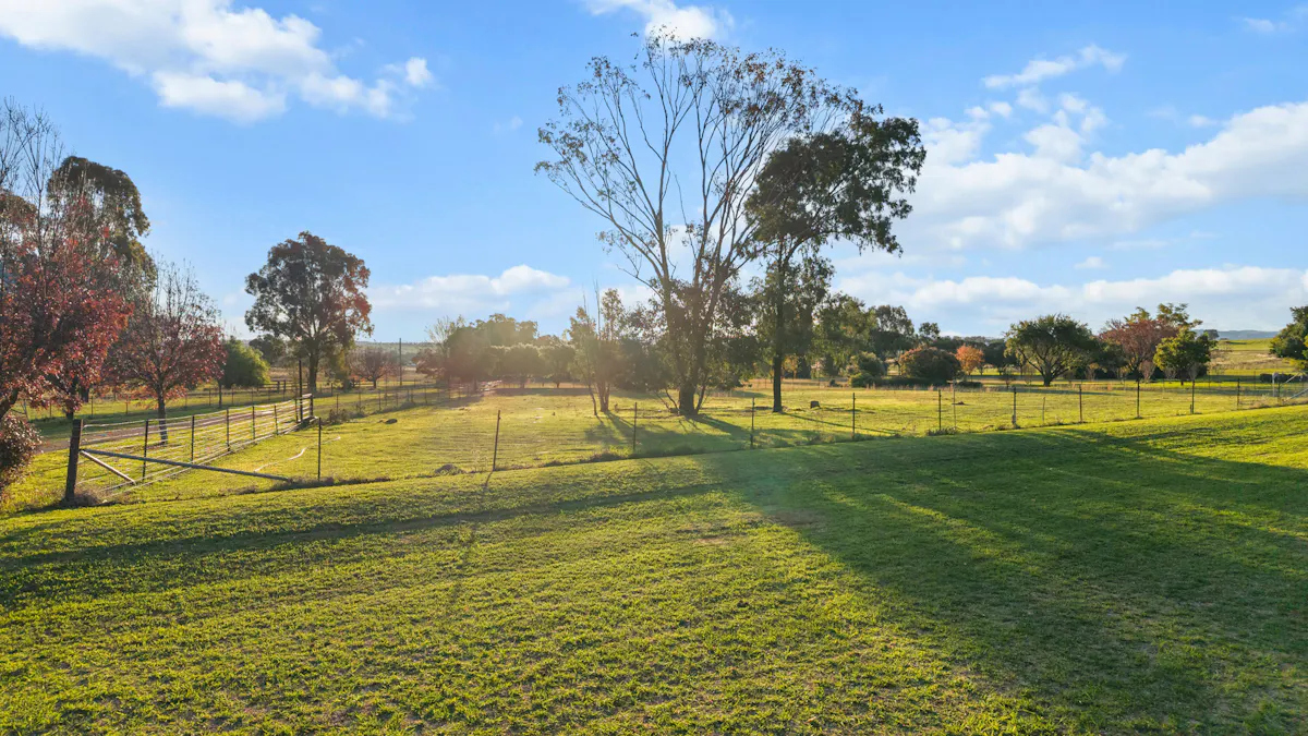 86 Meadow Banks Drive, Tamworth, NSW, 2340 - Image 20