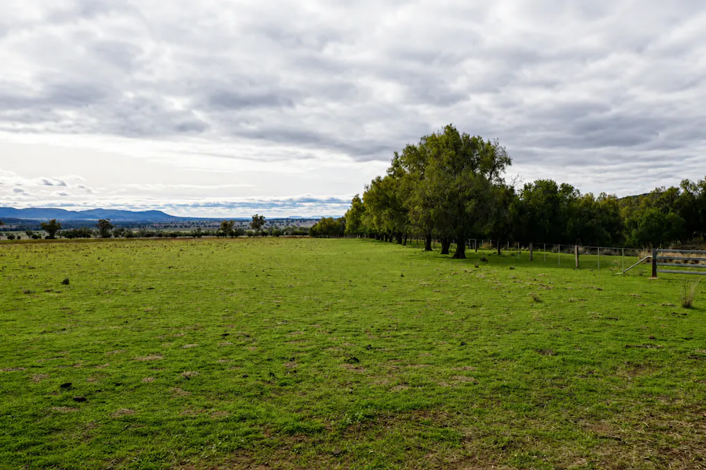 823 Eulourie Road, Bingara, NSW, 2404 - Image 8
