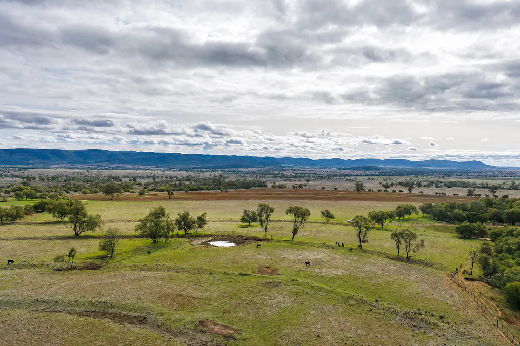 823 Eulourie Road, Bingara, NSW, 2404 - Image 2