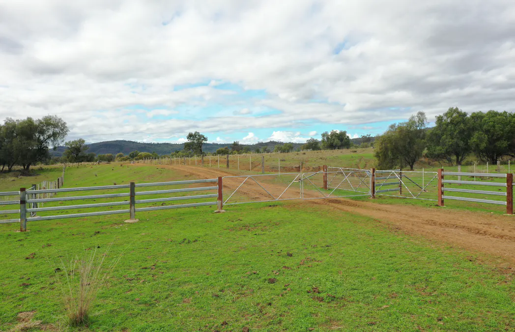 823 Eulourie Road, Bingara, NSW, 2404 - Image 9
