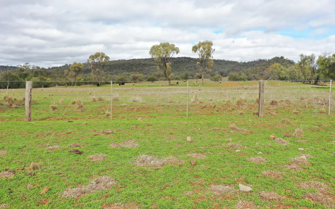 823 Eulourie Road, Bingara, NSW, 2404 - Image 10