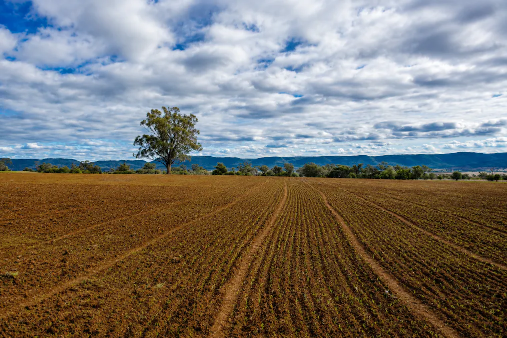 823 Eulourie Road, Bingara, NSW, 2404 - Image 1