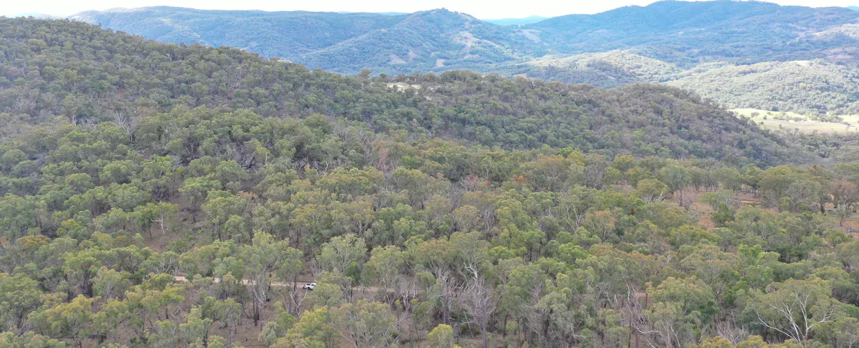 Lot 3 Halls Creek Road, Halls Creek, NSW, 2346 - Image 7