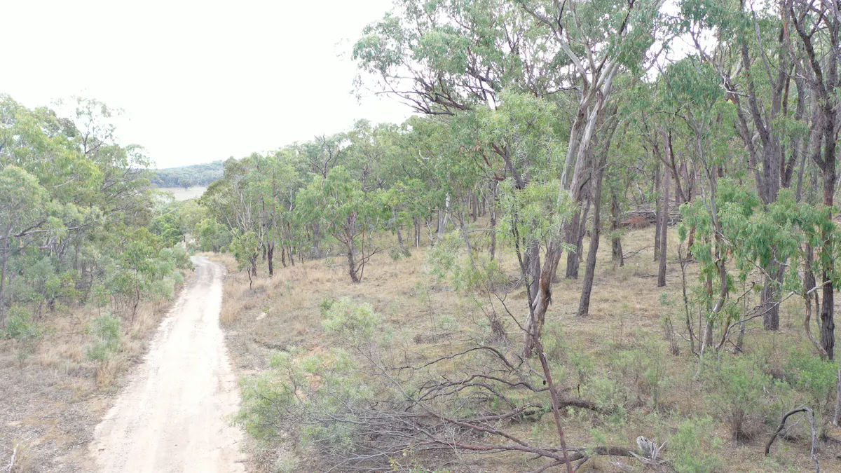 Lot 3 Halls Creek Road, Halls Creek, NSW, 2346 - Image 3