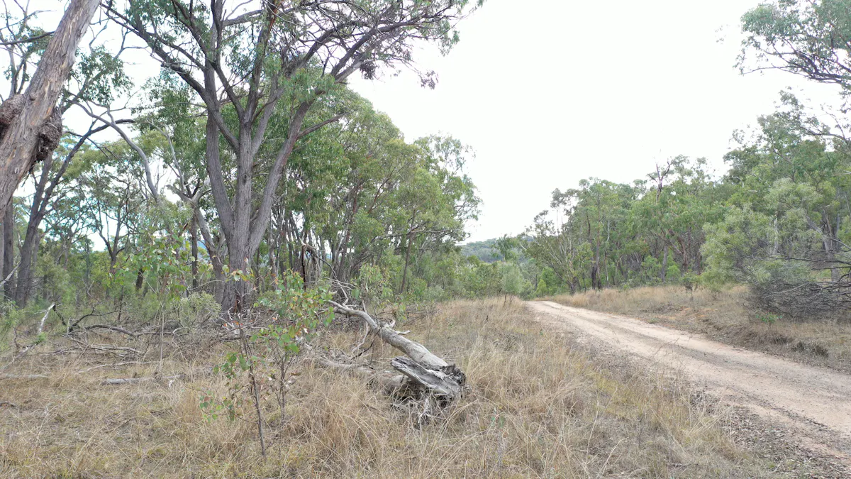 Lot 3 Halls Creek Road, Halls Creek, NSW, 2346 - Image 4