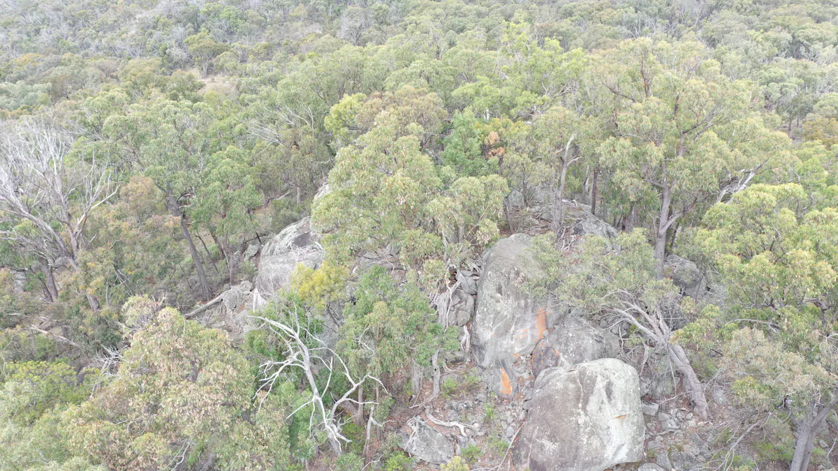 Lot 3 Halls Creek Road, Halls Creek, NSW, 2346 - Image 6