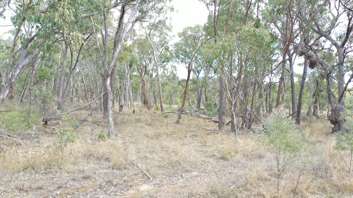 Lot 3 Halls Creek Road, Halls Creek, NSW, 2346 - Image 1